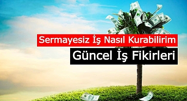 Maksimum Haber 2022 - Sermayesiz Yapılabilecek İş Fikirleri