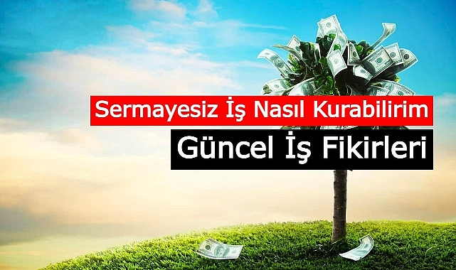Maksimum Haber 2022 - Sermayesiz Yapılabilecek İş Fikirleri