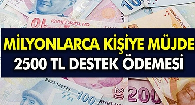 Maksimum Haber 2022 - Aile Bakanlığı duyurdu! Hemen PTT'den 2 bin 500 TL' paranızı çekebilirsiniz! O ödemeler hesaplara yatmaya başladı!