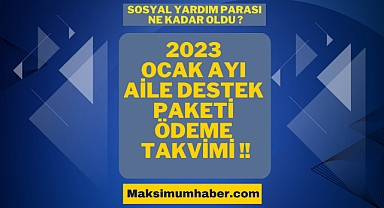 AİLE DESTEK ÖDEMELERİ NE ZAMAN YATACAK? | Ocak ayı Aile Destek Ödemesi ayın kaçında? - Aile Destek Ödemesi sorgulama ekranı