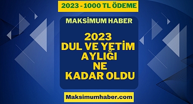 Dul ve Yetim Aylığı Alanlara 1000 TL Başvuru 2023. Dul ve Yetim Aylığı Nasıl Alınır? Kimler Başvurabilir? Başvuru Formu