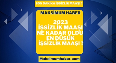En Düşük İşsizlik Maaşı 2023 Ne Kadar? İşsizlere ve İş Arayanlara 4003 TL Sosyal Yardım Başladı