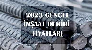 Maksimum Haber 2023 - 2023 Günlük Demir Fiyatı