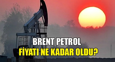 Petrolün Varil Fiyatı 2023