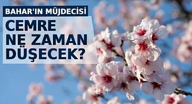 Cemre ne zaman düşecek? 2023 yılı ilk cemre ne zaman düşecek, düştü mü, ayın kaçında, nereye düşecek?