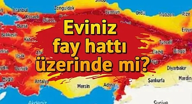KUZEY ANADOLU FAY HATTI HANGİ İLLERDEN GEÇER? | Kuzey Anadolu fay hattı üzerinde meydana gelen depremler