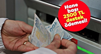 2.500 TL'ye kadar hane başına para yardımı! Ödemeler arttı! e-Devlet'ten başvuran PTT'den nakit çekebilecek! İşte başvuru ekranı.