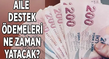 2023 Zamlı yardımlar yatacak mı? Aile Yardım Paraları ne kadar, kaç TL? Mart ayı Aile Destek Ödemeleri yattı mı, hangi tarihte yatacak?.