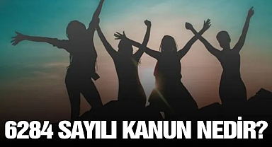 6284 sayılı kanun nedir, neden önemli? 6284 sayılı kanun maddeleri neler?