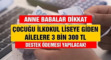 Ve TBMM'den geçti! Anne babalara başvuru şartıyla 3300 TL çocuk yardımı başladı