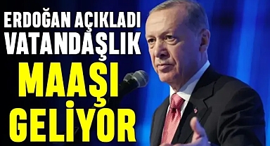 Vatandaşlık Maaşı Sistemi Netleşiyor: Dar Gelirliye 22.104 TL Güvence Geliyor